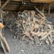 Firewood For Our Central Boiler…)