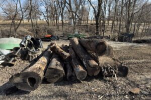 Custom Milling In Kansas City – Best Portable Sawmill