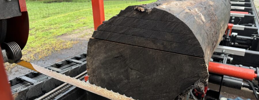 Aged Live Edge Walnut Slabs For Sale…