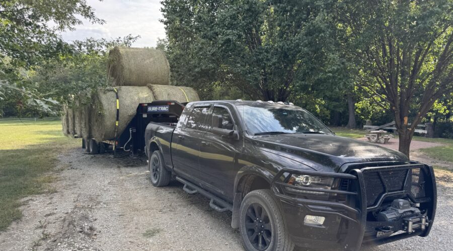 Moving Hay Today