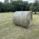 It’s Haying Season and Beating the Rains…