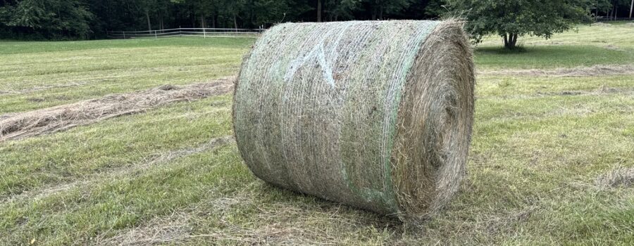 It’s Haying Season and Beating the Rains…