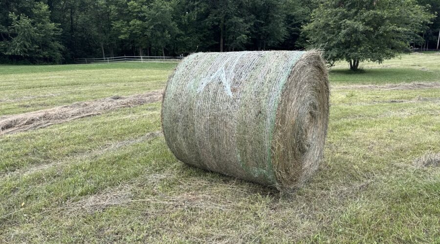 It’s Haying Season and Beating the Rains…