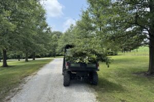 Trimming Low Hanging Branches Down Our Long Driveway…
