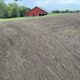 Broadcasting Winter Wheat at Pin Oaks Farm