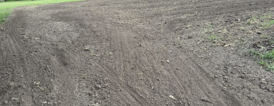 Broadcasting Winter Wheat at Pin Oaks Farm
