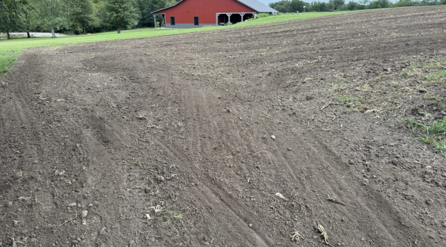 Broadcasting Winter Wheat at Pin Oaks Farm