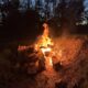 Burning Slabs From 2520 TimberKing Milling